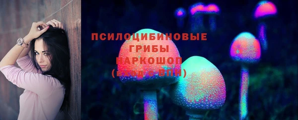 гидропоника Белокуриха