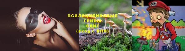 гидропоника Белокуриха