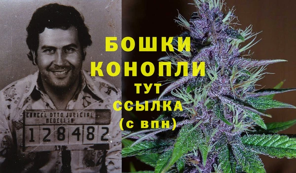 гидропоника Белокуриха