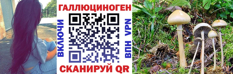 Галлюциногенные грибы мухоморы  Купить  Болохово 